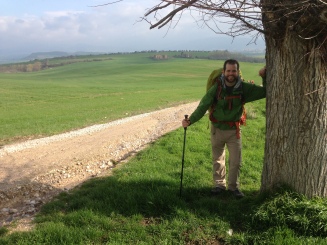 Typical view on the Camino Frances.